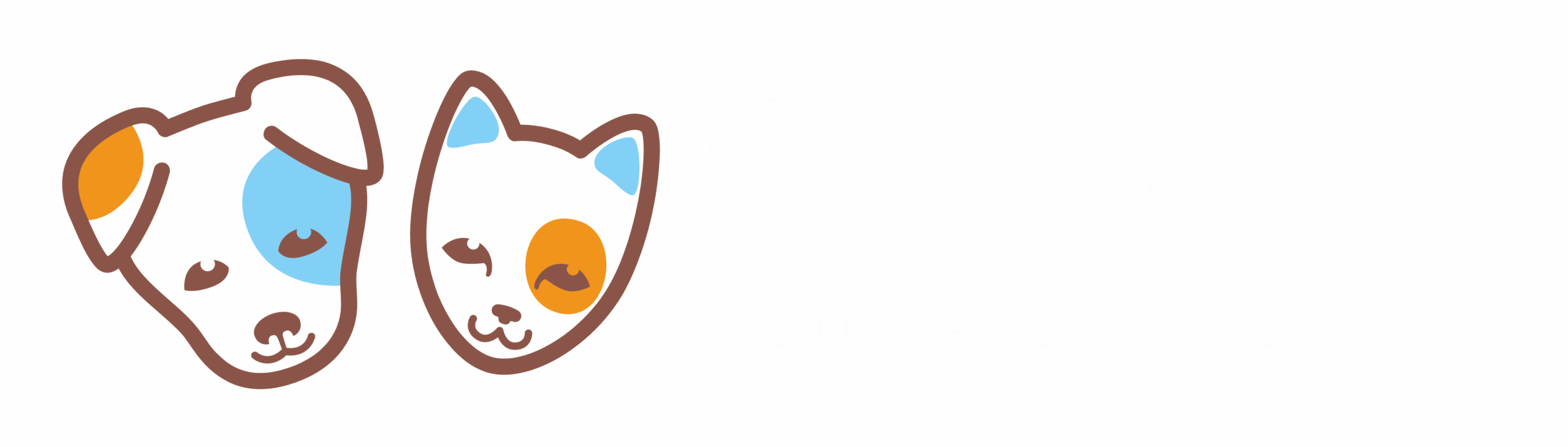 SanClá Ribeirão Preto